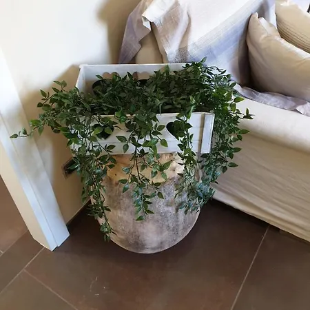 Panzió La Villetta Luxury Leivi